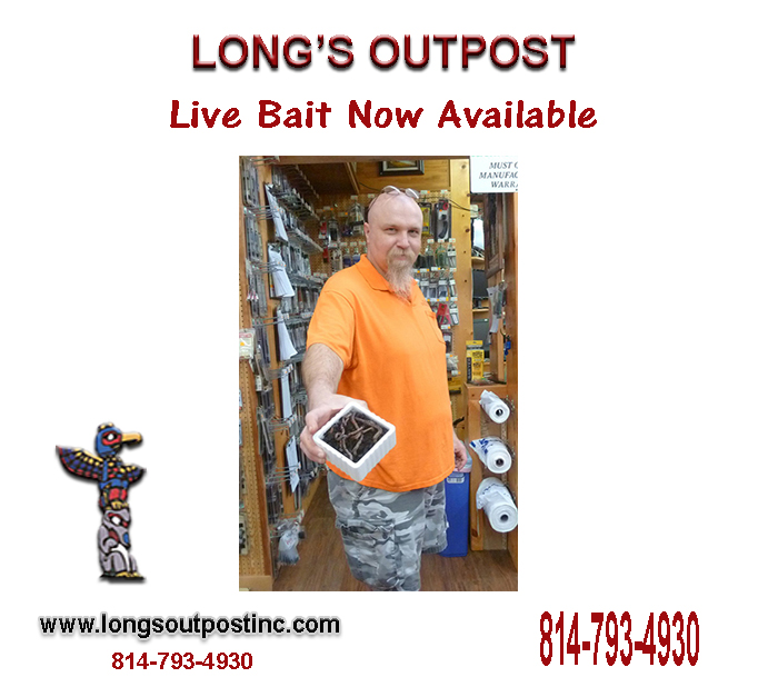 Live Bait Available